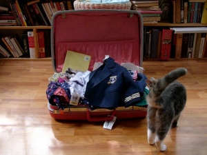Boston Haul in suitcase